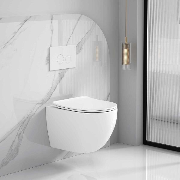 sanidump Modern White Wall-Hung Toilet with Soft-Close Seat